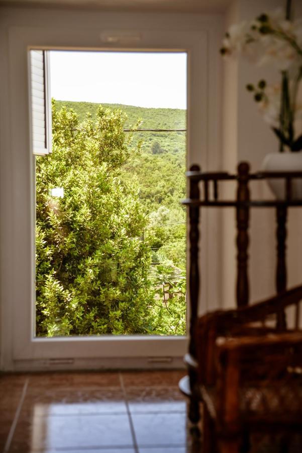 Apartment Nikola Kotor Kültér fotó